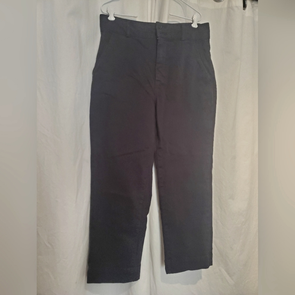 Everlane Organic Cotton Straight Leg Pant. Size 10
